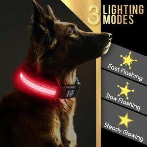 NOBLEZA Flashing LED Dog Collar M Pink Fits 16-20" Neck NEW Glowing Rechargeable
